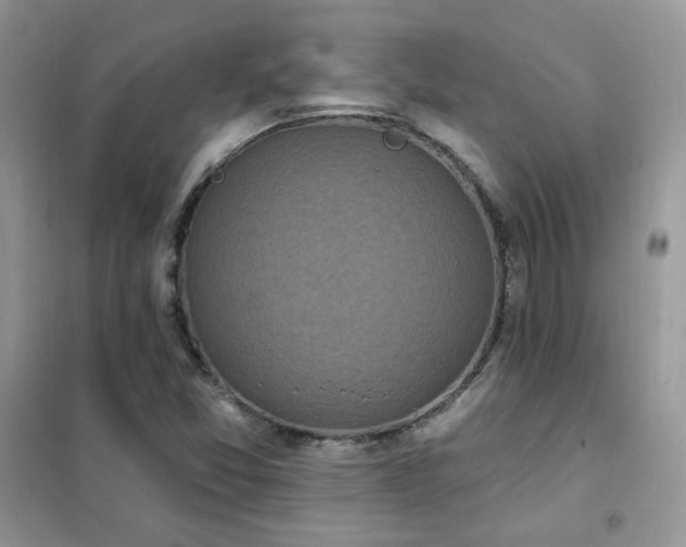 X0000102351357200808011154