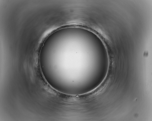 X0000102351358200808011154