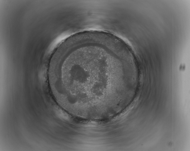 X0000102351359200808011154