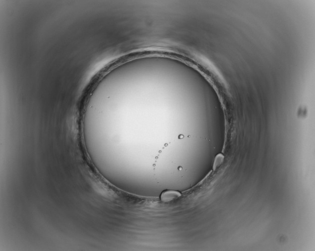 X0000102351360200808011154