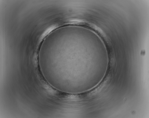 X0000102351362200808011154