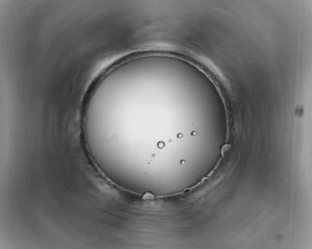 X0000102351364200808011154