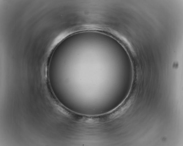 X0000102351365200808011154