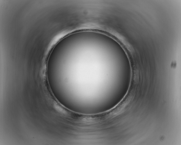 X0000102351366200808011154