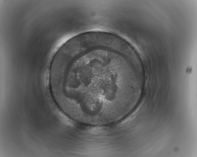 X0000102351367200808011154