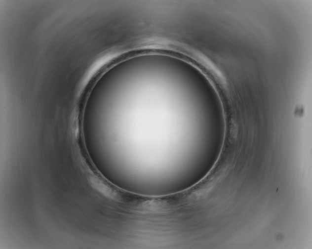 X0000102351368200808011154