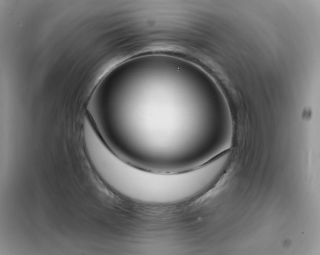 X0000102351369200808011154