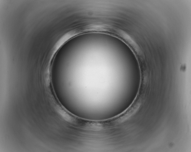 X0000102351370200808011154