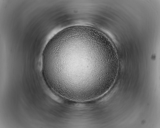 X0000102351371200808011154