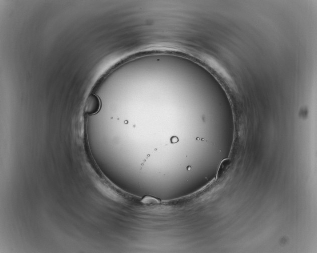 X0000102351372200808011154