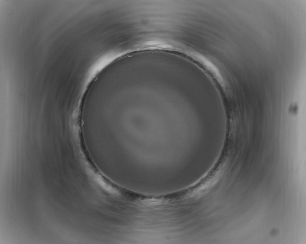 X0000102351373200808011154