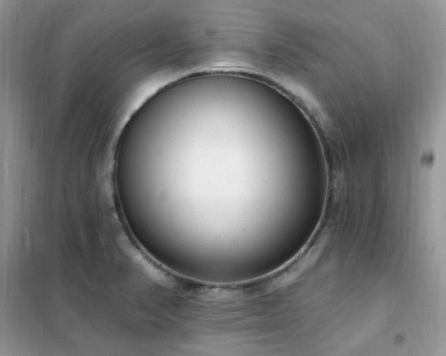 X0000102351374200808011154