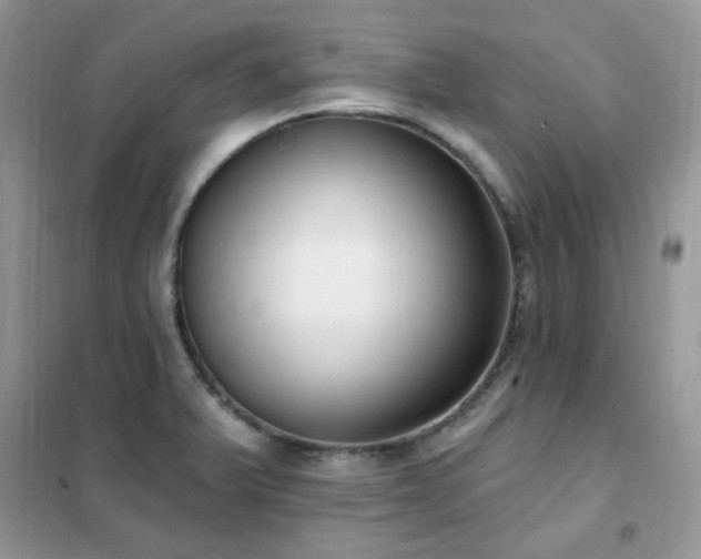 X0000102351375200808011154