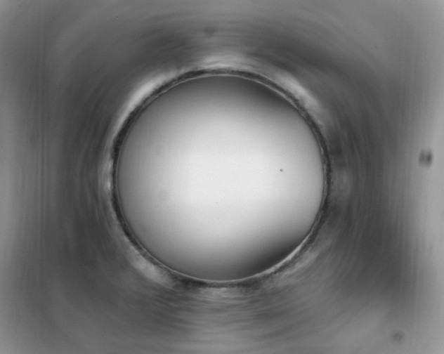 X0000102351376200808011154