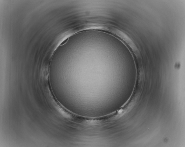 X0000102351377200808011154