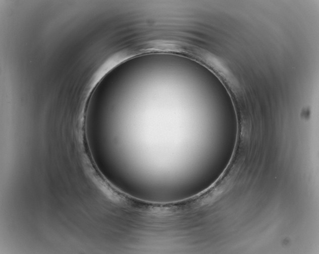 X0000102351378200808011154