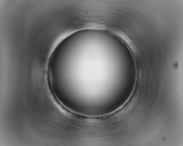 X0000102351379200808011154