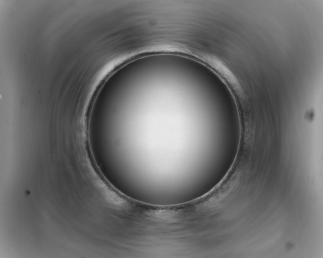 X0000102351380200808011154