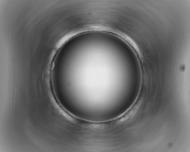 X0000102351381200808011154