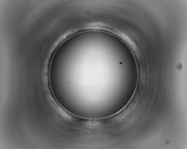 X0000102351384200808011154