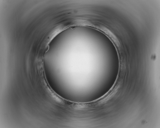 X0000102351385200808011154