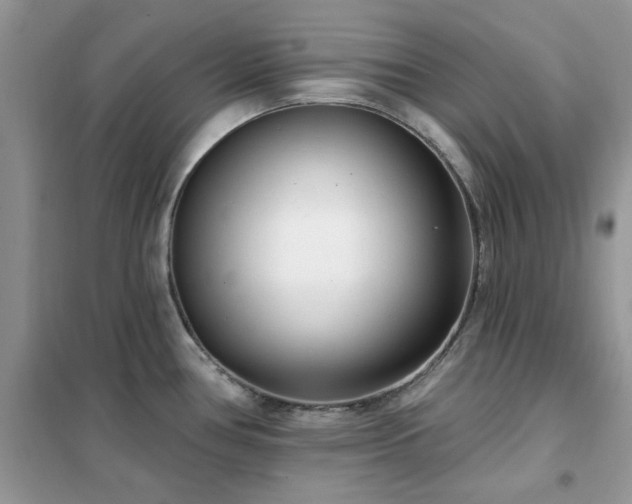 X0000102351386200808011154