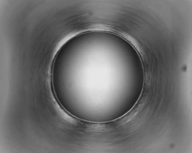 X0000102351387200808011154