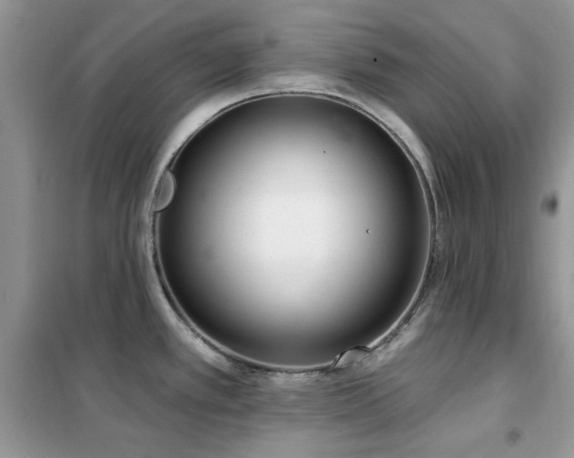 X0000102351389200808011153