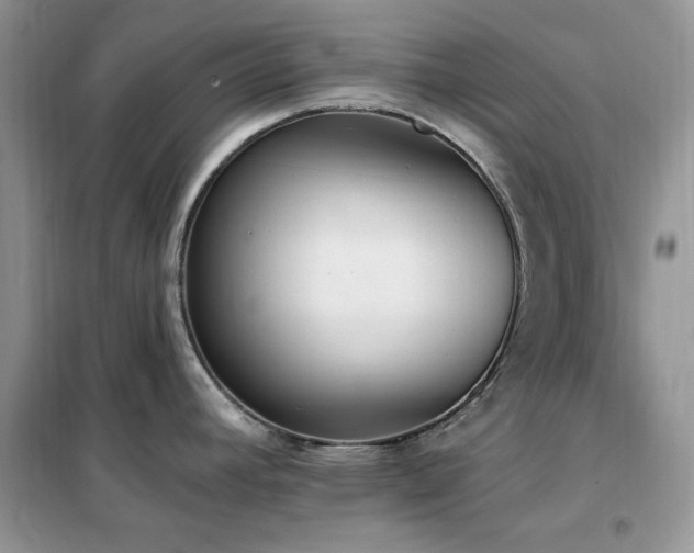 X0000102351392200808011153