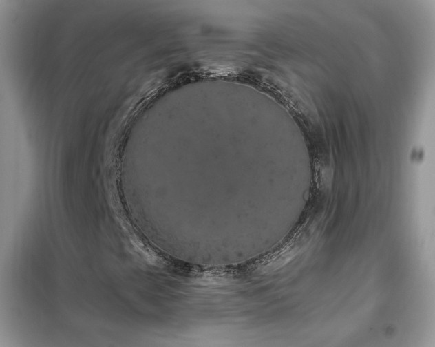 X0000102351393200808011153