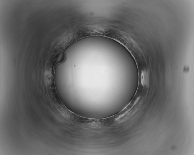 X0000102351395200808011153