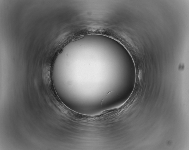 X0000102351396200808011153