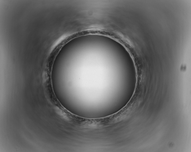 X0000102351400200808011153