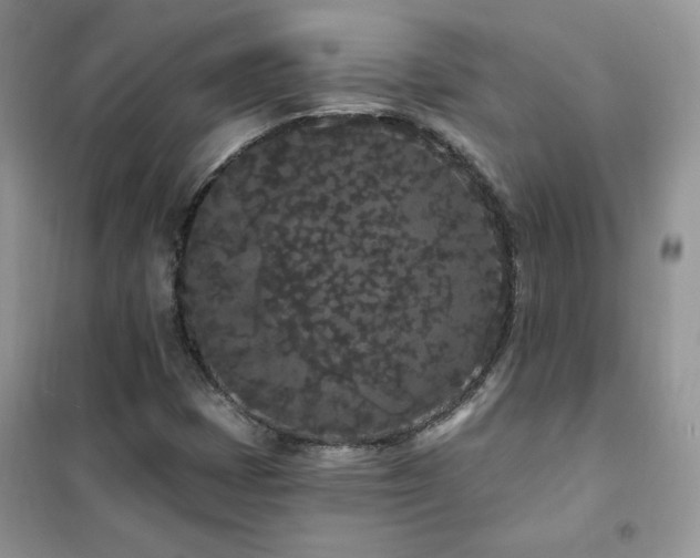 X0000102351401200808011153