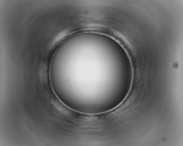 X0000102351403200808011153