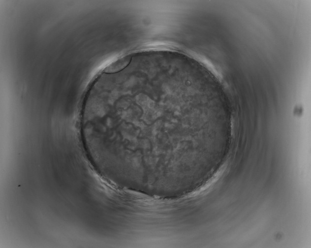 X0000102351405200808011153