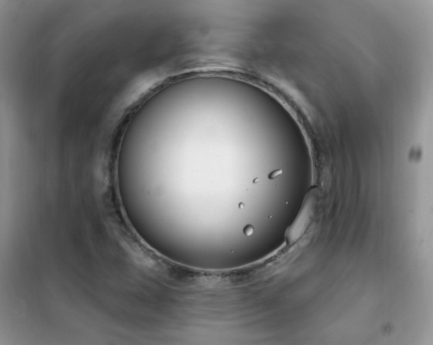 X0000102351407200808011153