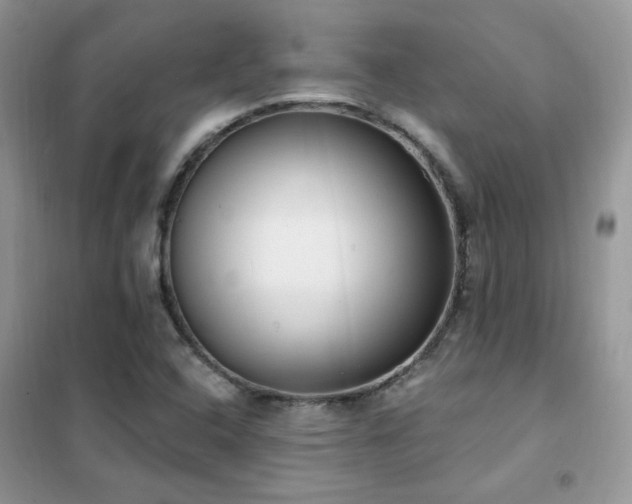 X0000102351408200808011153