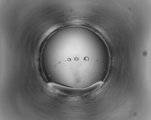 X0000102351410200808011153