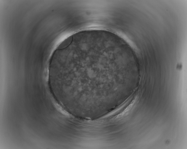 X0000102351413200808011153