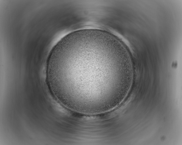 X0000102351415200808011153