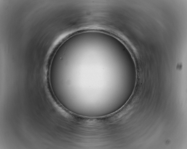 X0000102351416200808011153