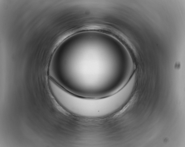 X0000102351417200808011153