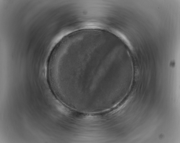 X0000102351419200808011153