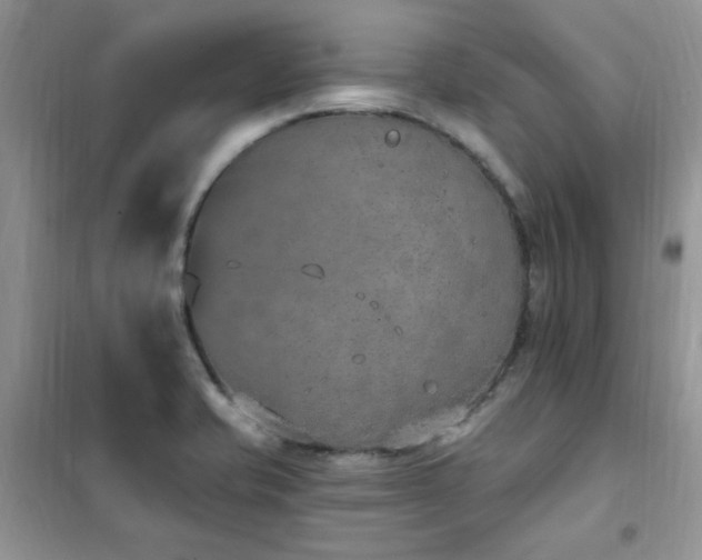 X0000102351421200808011153