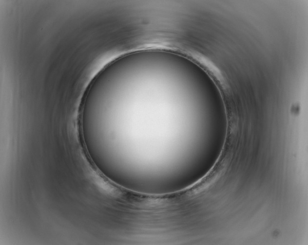 X0000102351423200808011153