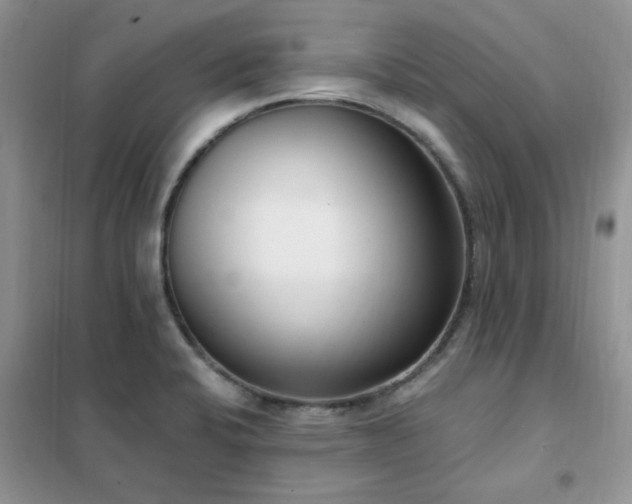 X0000102351424200808011153