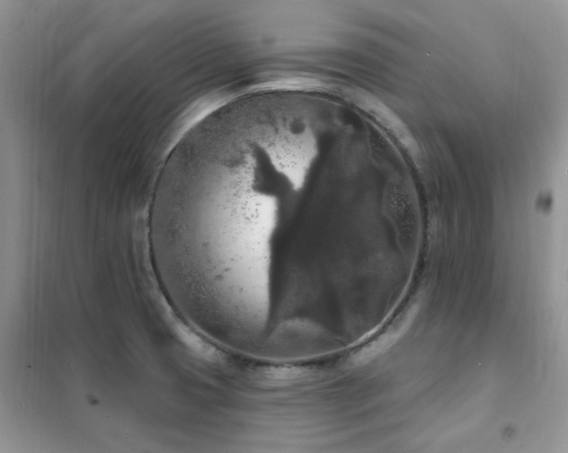 X0000102351425200808011153