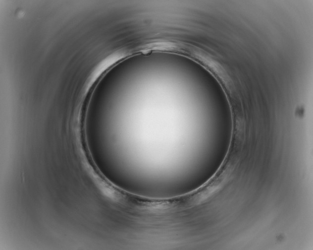 X0000102351426200808011153