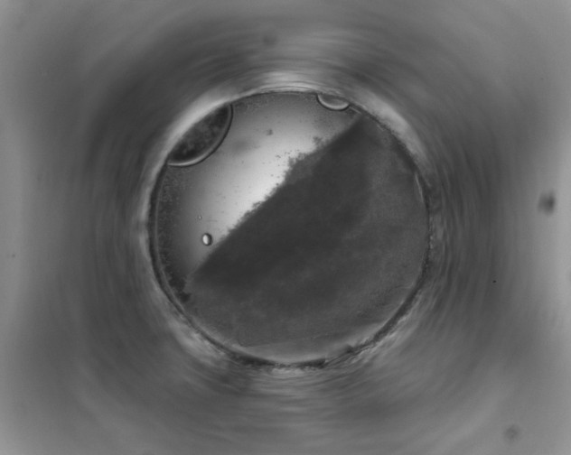 X0000102351427200808011153